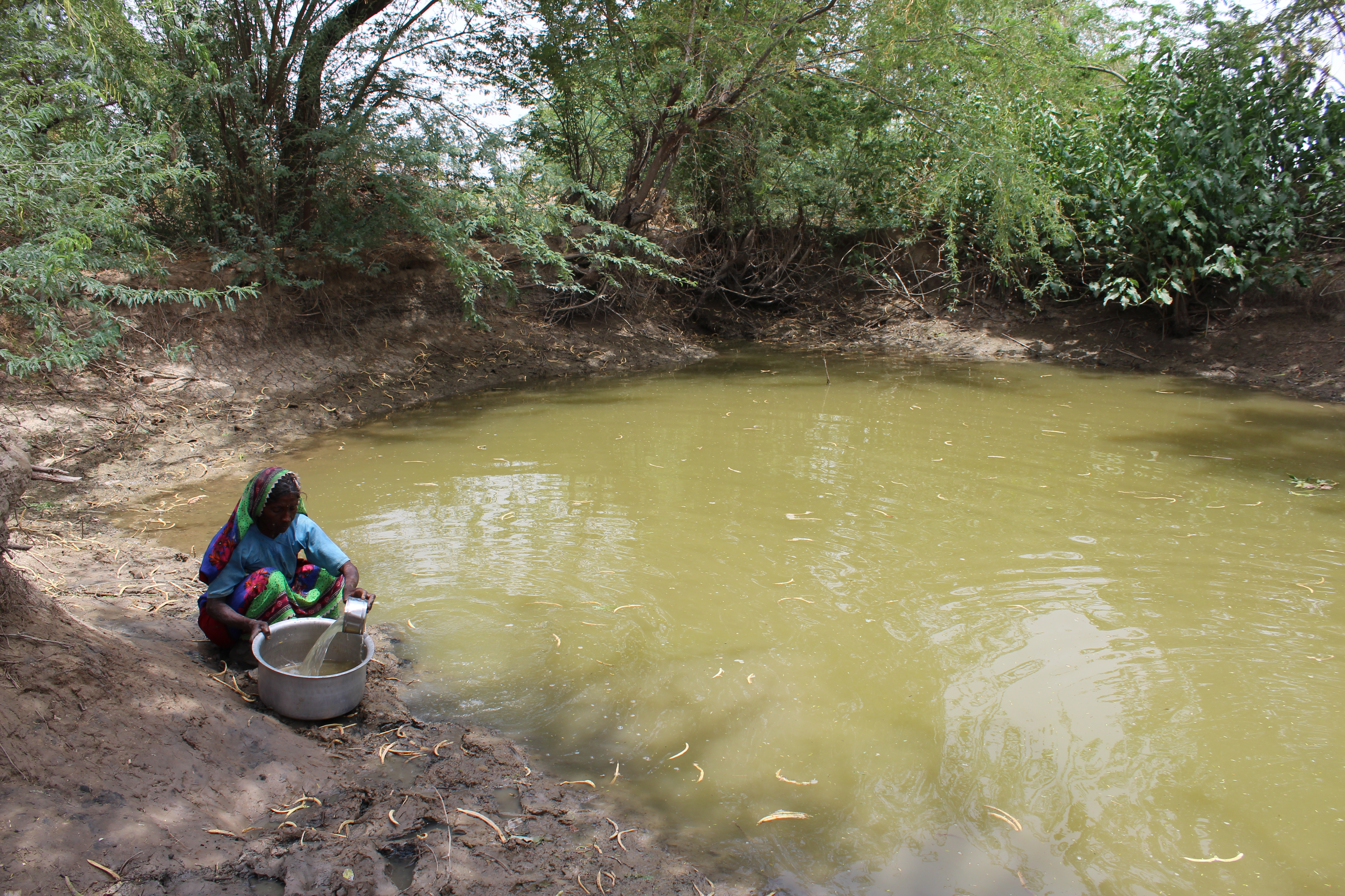 An Rand einer offenen Wasserstelle gießt Kato Koli grün-gelblich gefärbtes Wasser mit einem Becher in eine große Schale.