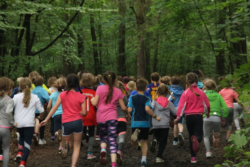 Kinder rennen im Wald