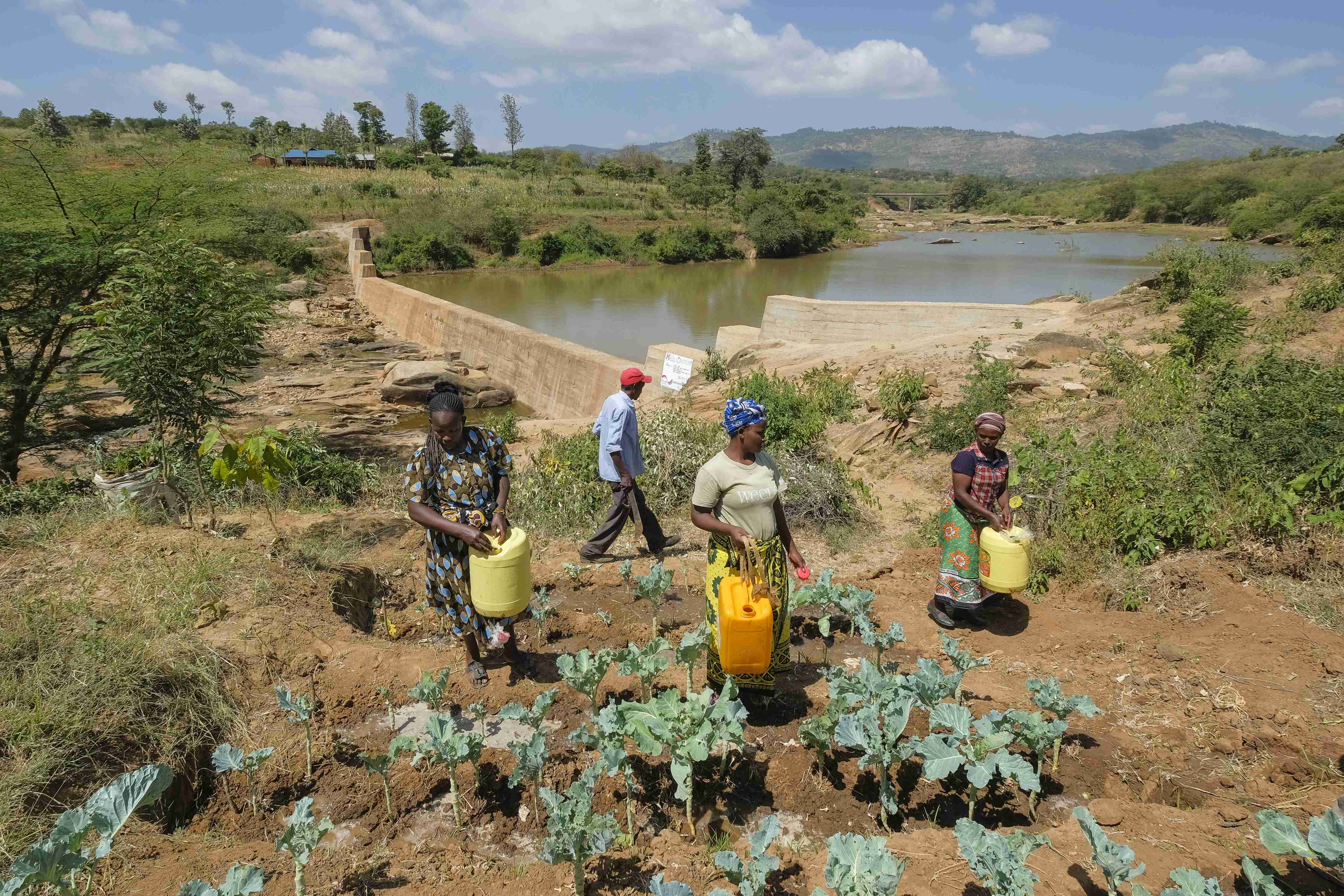 Gemüsefeld mit drei Frauen mit Wasserkanistern im Hintergrund eine Dammauer und Wasserfläche