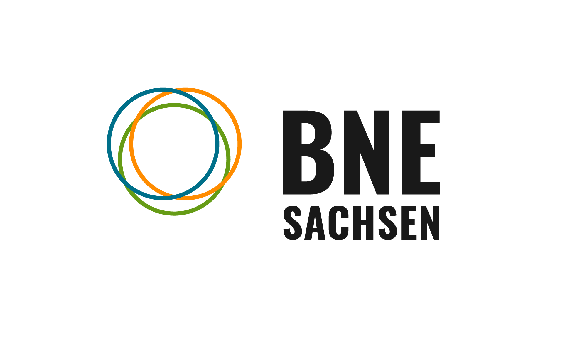BNE Sachsen Logo bunt