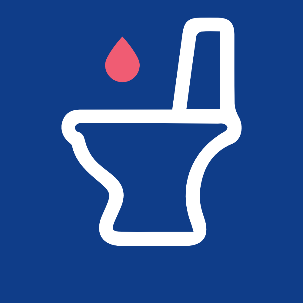 Icon Toilette