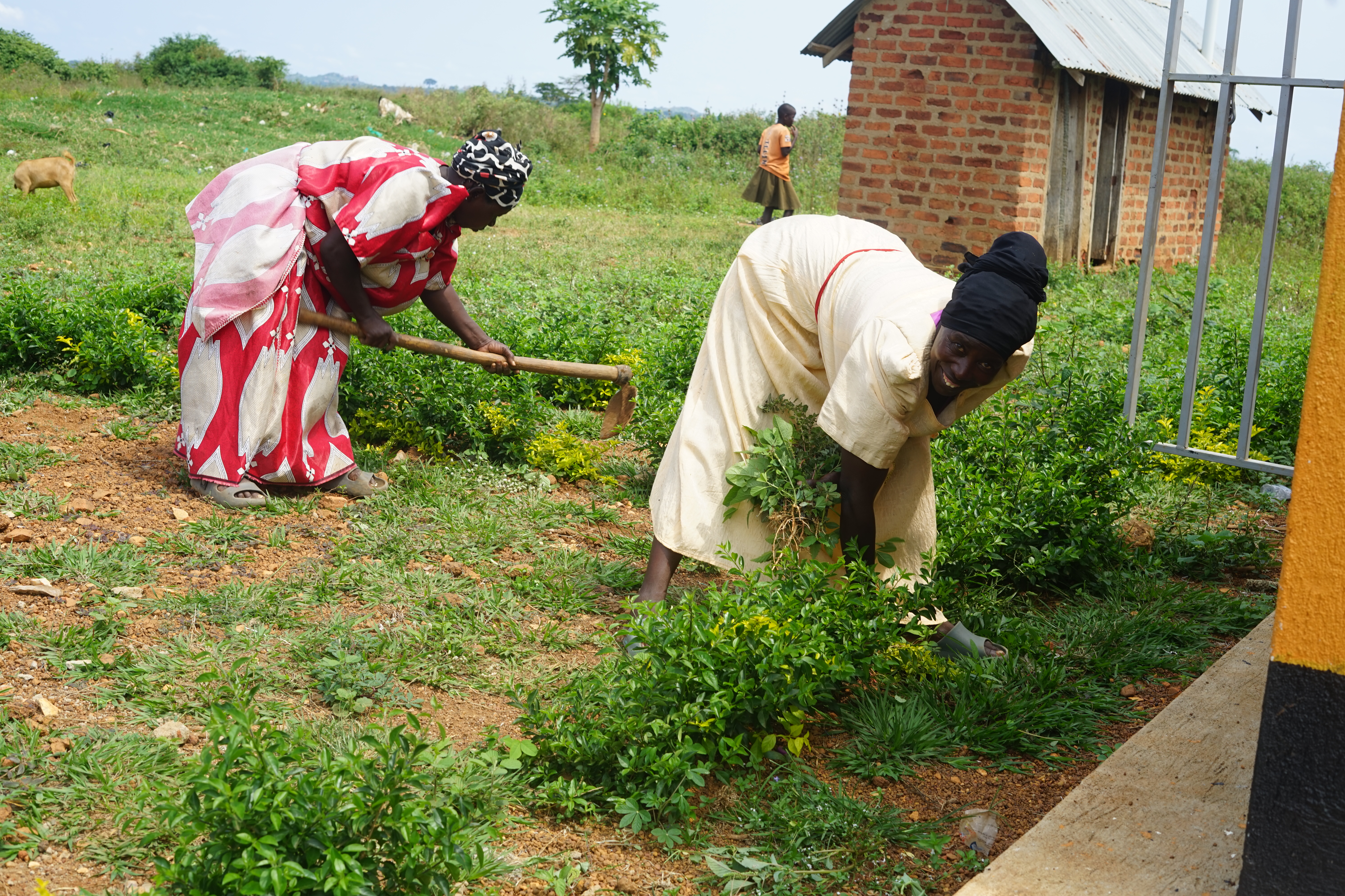 Frauen arbeiten auf einem Feld