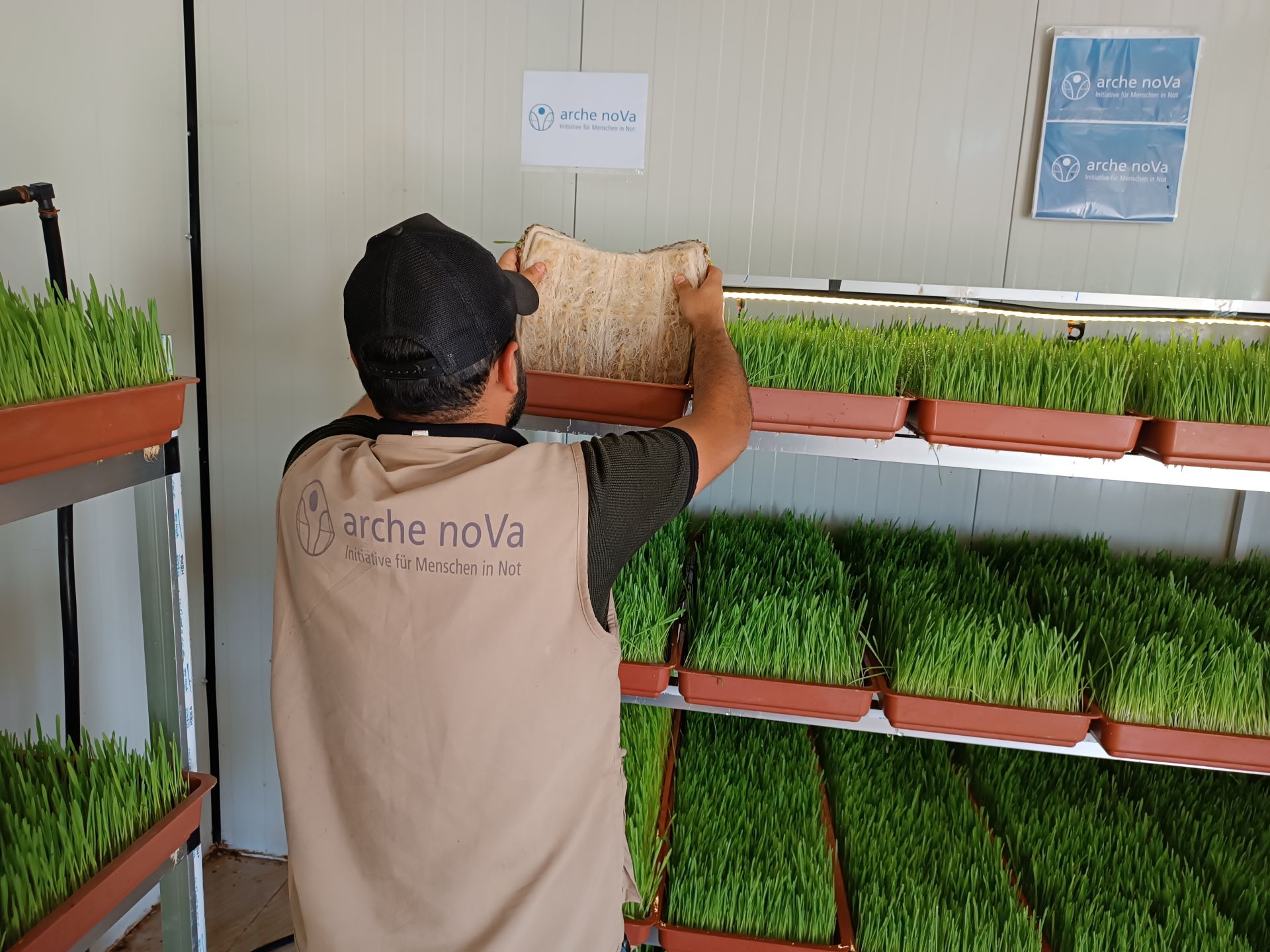 Das Bild zeigt einen Mitarbeiter von arche noVa. Er trägt eine beigefarbene Weste mit Logo und ist von hinten zu sehen. Vor ihm steht ein Regal mit Behältnissen, in denen Futterpflanzen wachsen.