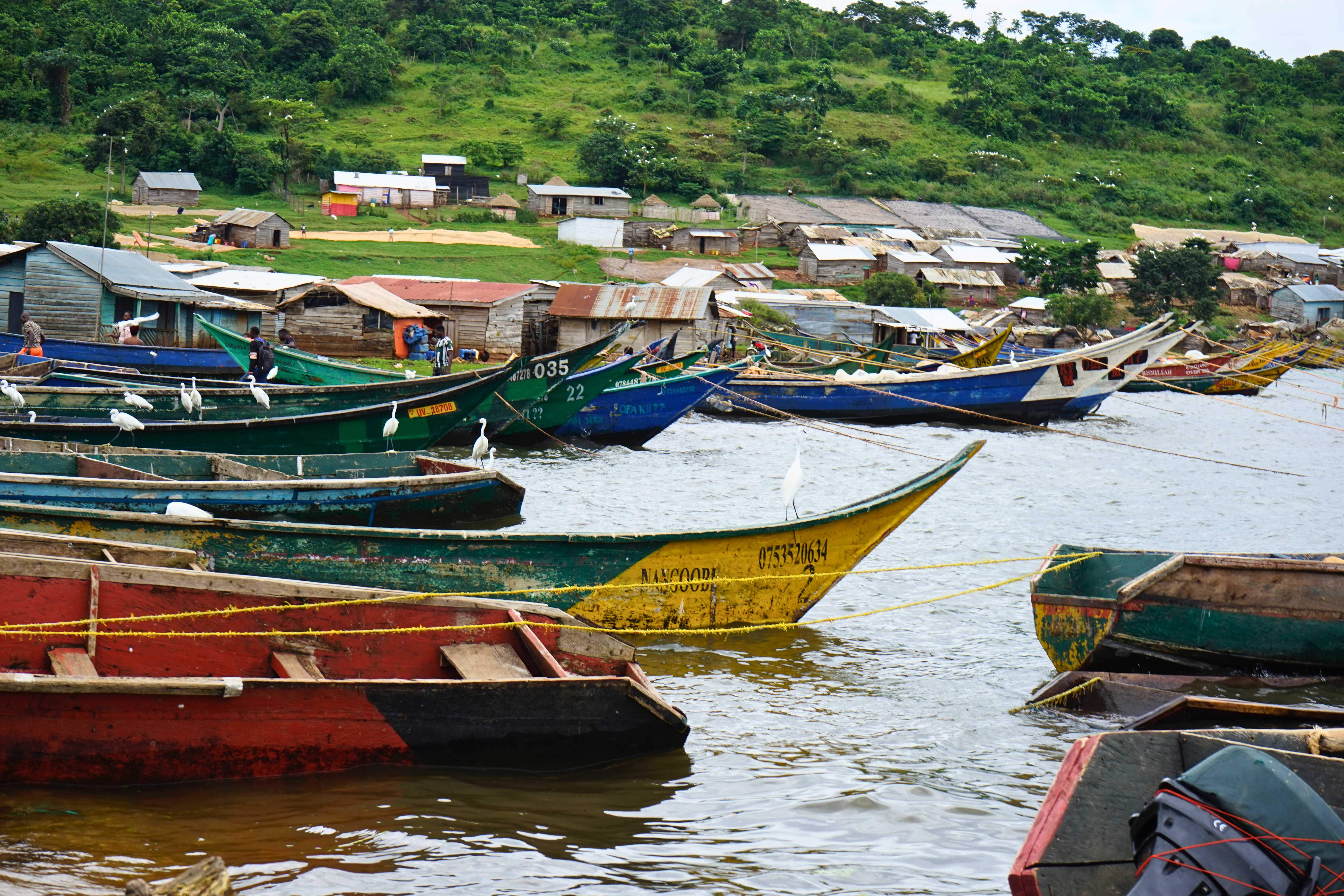 Fischerboote an der Nordküste des Viktoriasees