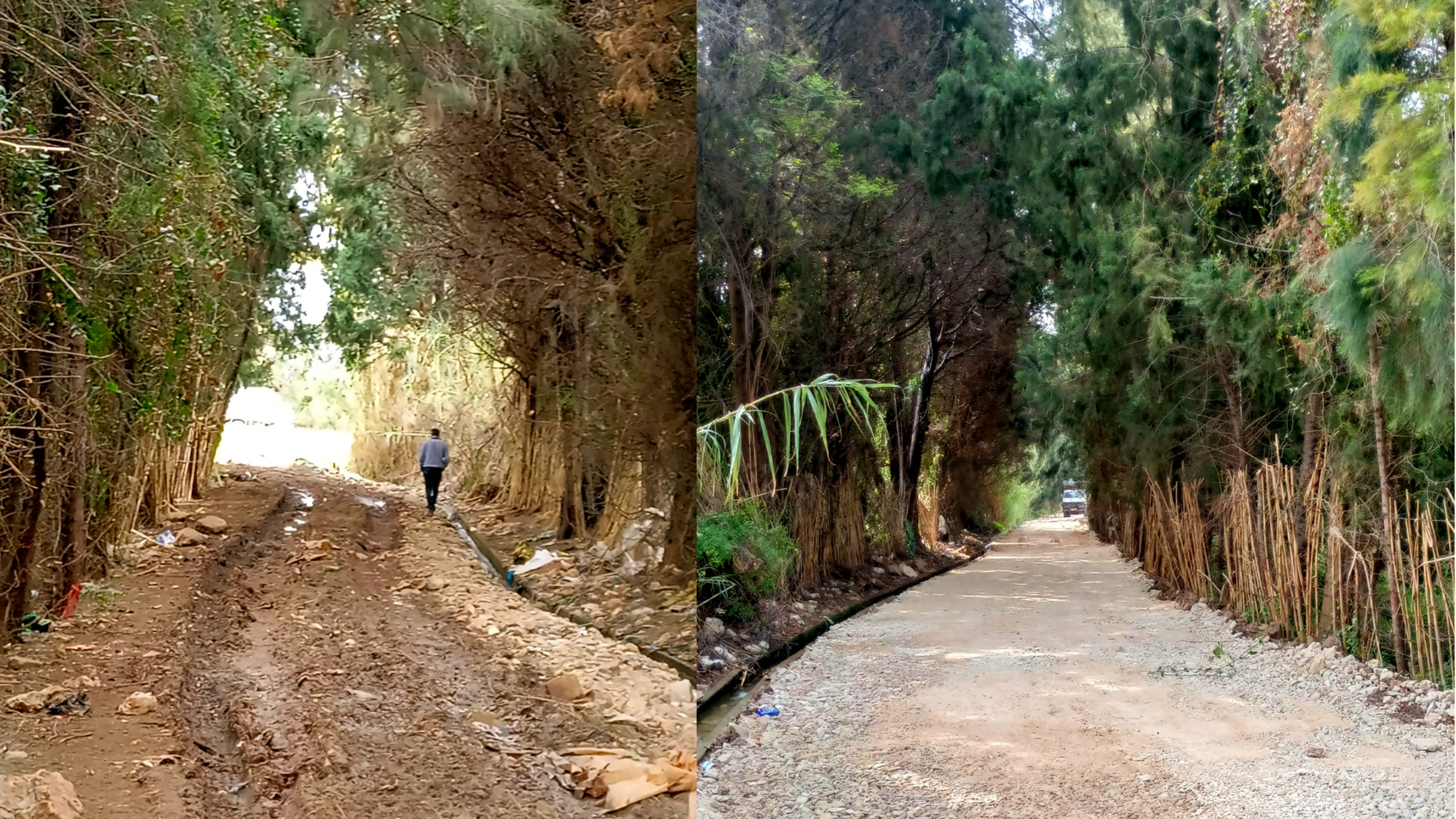 Fotokollage, links maroder, rechts sanierter Schotterweg mit hohen Pflanzen am Wegesrand