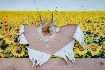 The picture shows a poster with sunflowers. The wallpaper is partially torn and hangs down in shreds. A bullet hole can be seen in the middle, reaching into the masonry.