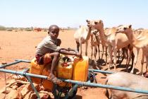 Junge auf Karren mit Kanistern, im Hintergrund Kamele