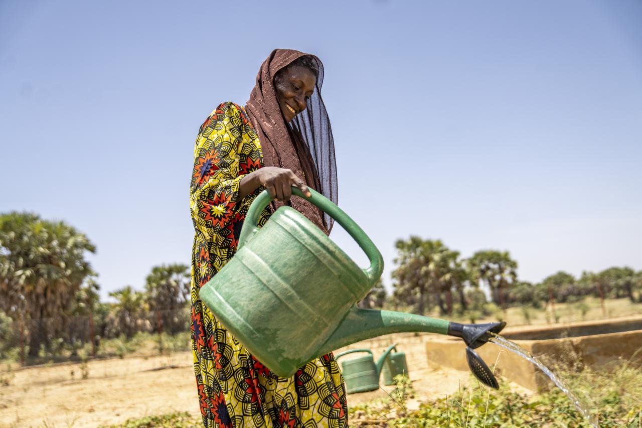 Eine Frau gießt Pflanzen mit einer Gießkanne