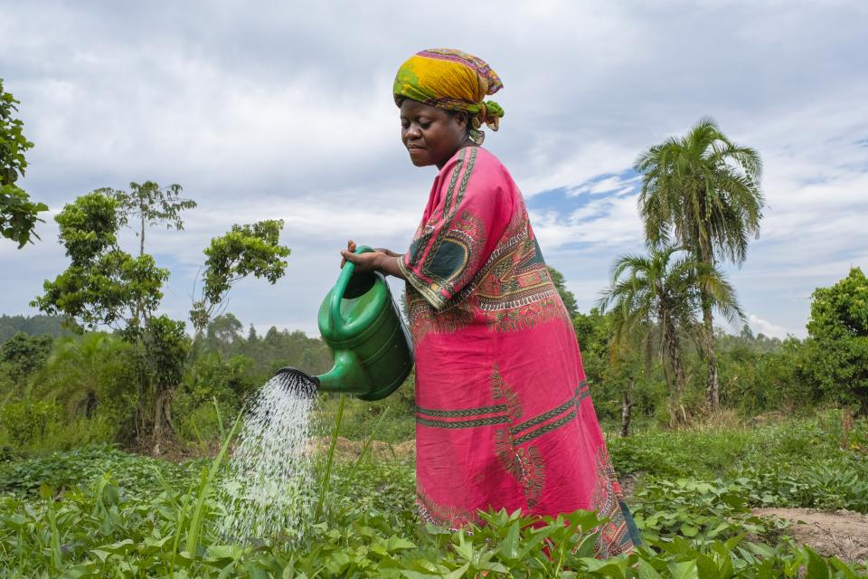 Das Bild zeigt Agnes Lule eine Frau aus Uganda. Sie trägt ein leuchtend pinkfarbenes Kleid und ein buntes Tuch auf dem Kopf. Sie steht auf einer Ackerfläche und gießt die Pflanzen. Im Hintergrund sind Palmen und bewölkter Himmel zu sehen.